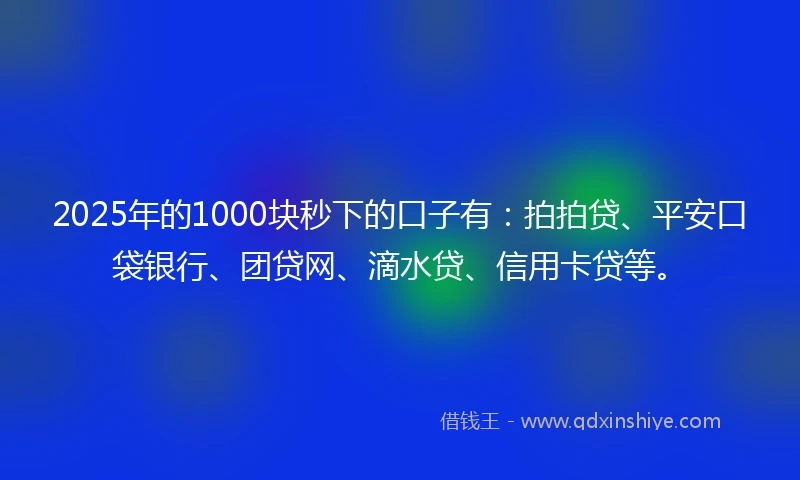 2025年的1000块秒下的口子有：拍拍贷、平安口袋银行、团贷网、滴水贷、信用卡贷等。