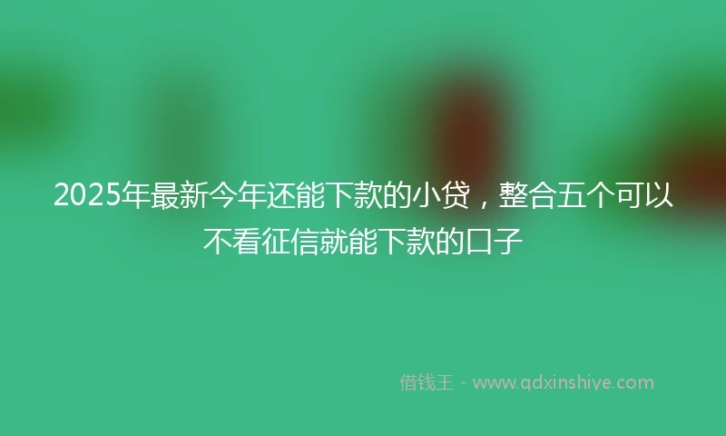 2025年最新今年还能下款的小贷，整合五个可以不看征信就能下款的口子