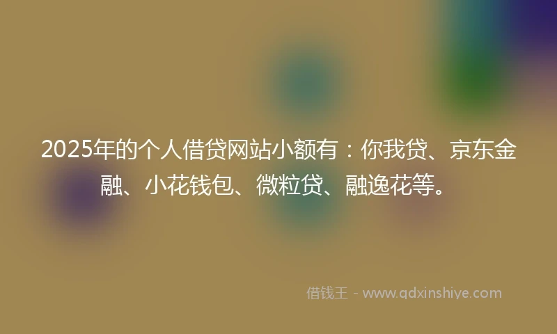 2025年的个人借贷网站小额有：你我贷、京东金融、小花钱包、微粒贷、融逸花等。