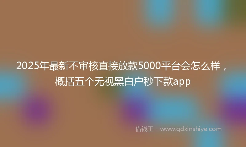 2025年最新不审核直接放款5000平台会怎么样，概括五个无视黑白户秒下款app