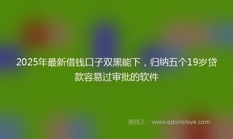 2025年最新借钱口子双黑能下，归纳五个19岁贷款容易过审批的软件