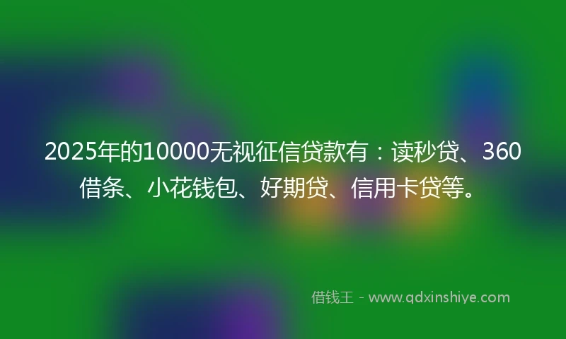 2025年的10000无视征信贷款有：读秒贷、360借条、小花钱包、好期贷、信用卡贷等。