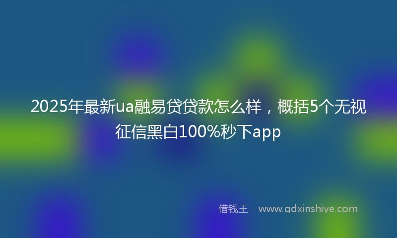 2025年最新ua融易贷贷款怎么样，概括5个无视征信黑白100%秒下app