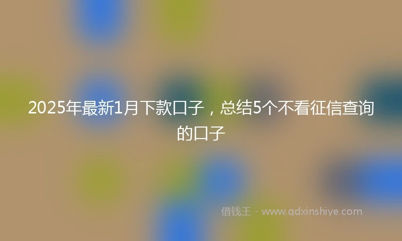 2025年最新1月下款口子，总结5个不看征信查询的口子
