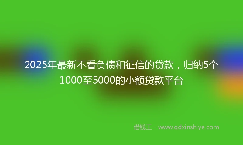 2025年最新不看负债和征信的贷款，归纳5个1000至5000的小额贷款平台