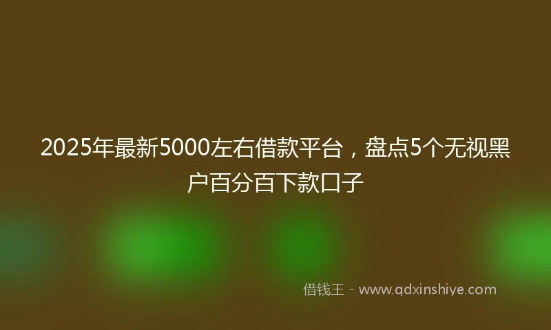 2025年最新5000左右借款平台，盘点5个无视黑户百分百下款口子