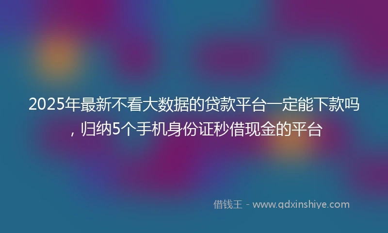 2025年最新不看大数据的贷款平台一定能下款吗，归纳5个手机身份证秒借现金的平台