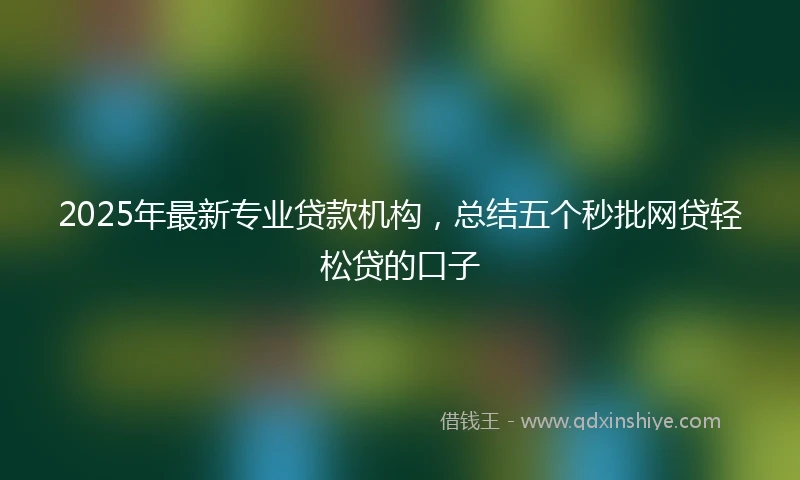 2025年最新专业贷款机构，总结五个秒批网贷轻松贷的口子