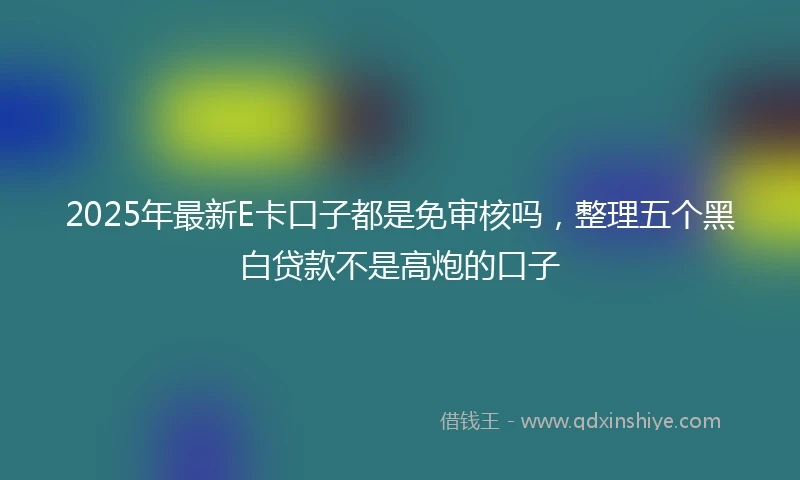 2025年最新E卡口子都是免审核吗，整理五个黑白贷款不是高炮的口子