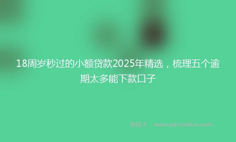 18周岁秒过的小额贷款2025年精选，梳理五个逾期太多能下款口子