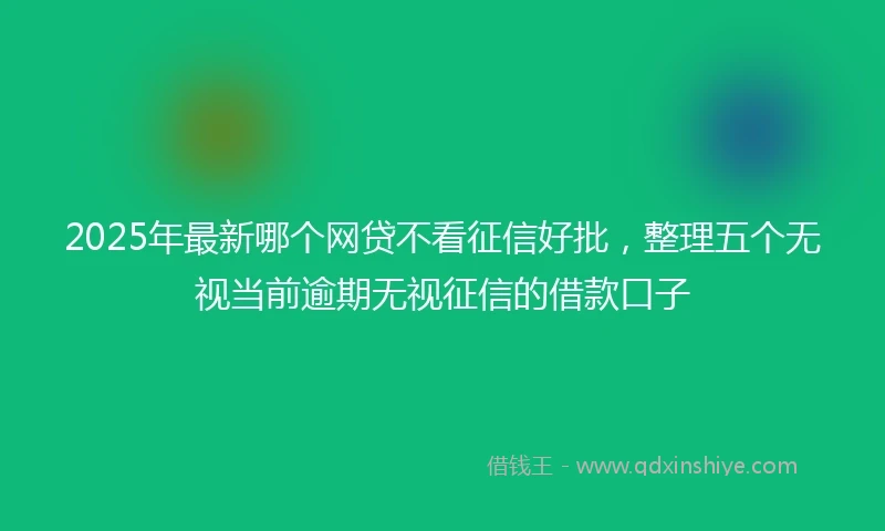 2025年最新哪个网贷不看征信好批，整理五个无视当前逾期无视征信的借款口子
