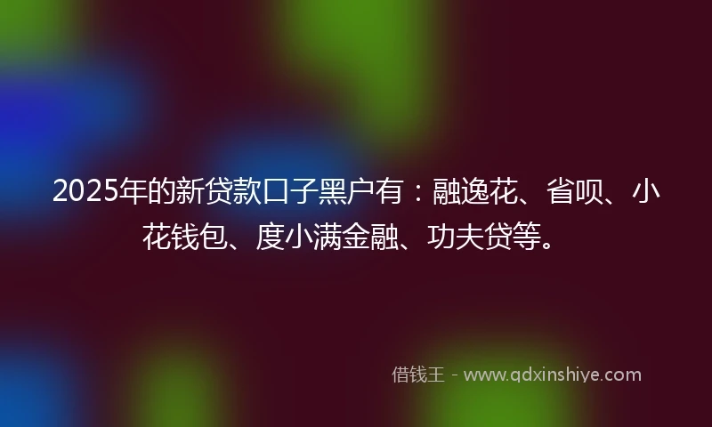2025年的新贷款口子黑户有：融逸花、省呗、小花钱包、度小满金融、功夫贷等。