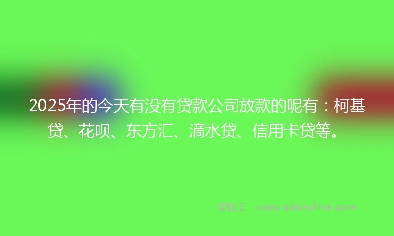 2025年的今天有没有贷款公司放款的呢有：柯基贷、花呗、东方汇、滴水贷、信用卡贷等。