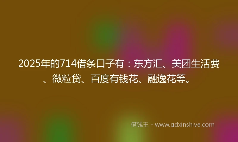 2025年的714借条口子有：东方汇、美团生活费、微粒贷、百度有钱花、融逸花等。