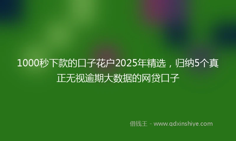 1000秒下款的口子花户2025年精选，归纳5个真正无视逾期大数据的网贷口子