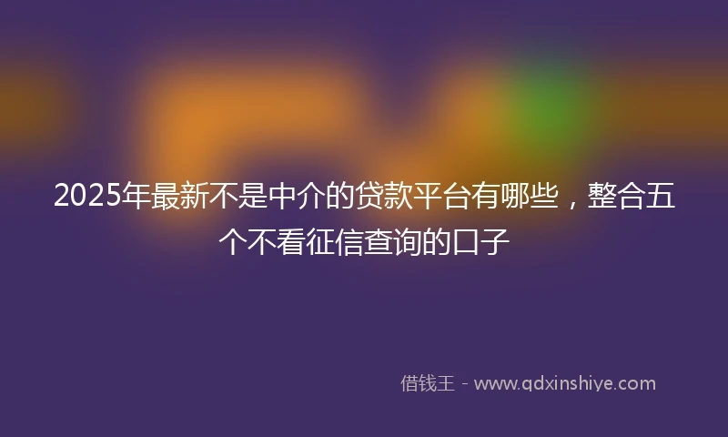 2025年最新不是中介的贷款平台有哪些，整合五个不看征信查询的口子