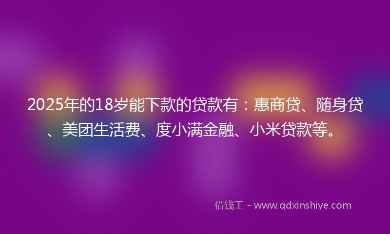 2025年的18岁能下款的贷款有：惠商贷、随身贷、美团生活费、度小满金融、小米贷款等。