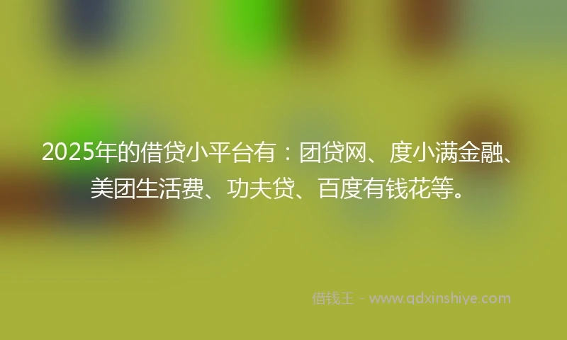 2025年的借贷小平台有：团贷网、度小满金融、美团生活费、功夫贷、百度有钱花等。