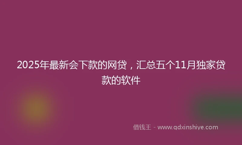 2025年最新会下款的网贷，汇总五个11月独家贷款的软件