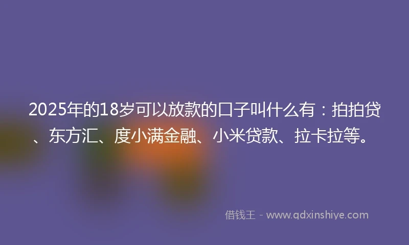 2025年的18岁可以放款的口子叫什么有：拍拍贷、东方汇、度小满金融、小米贷款、拉卡拉等。