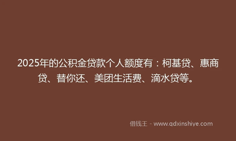 2025年的公积金贷款个人额度有：柯基贷、惠商贷、替你还、美团生活费、滴水贷等。