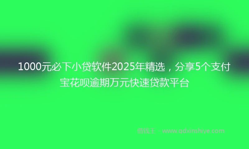 1000元必下小贷软件2025年精选，分享5个支付宝花呗逾期万元快速贷款平台