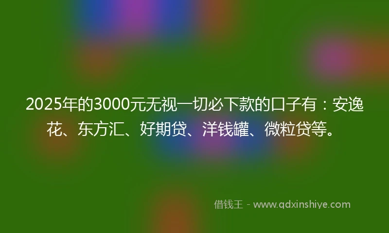 2025年的3000元无视一切必下款的口子有：安逸花、东方汇、好期贷、洋钱罐、微粒贷等。