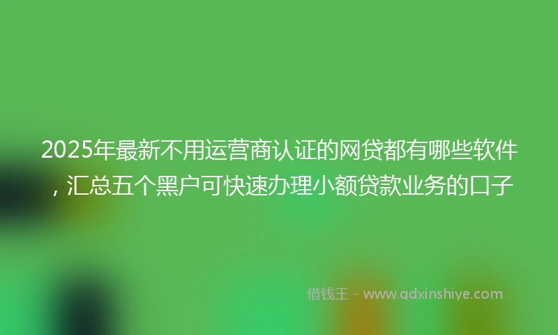 2025年最新不用运营商认证的网贷都有哪些软件，汇总五个黑户可快速办理小额贷款业务的口子