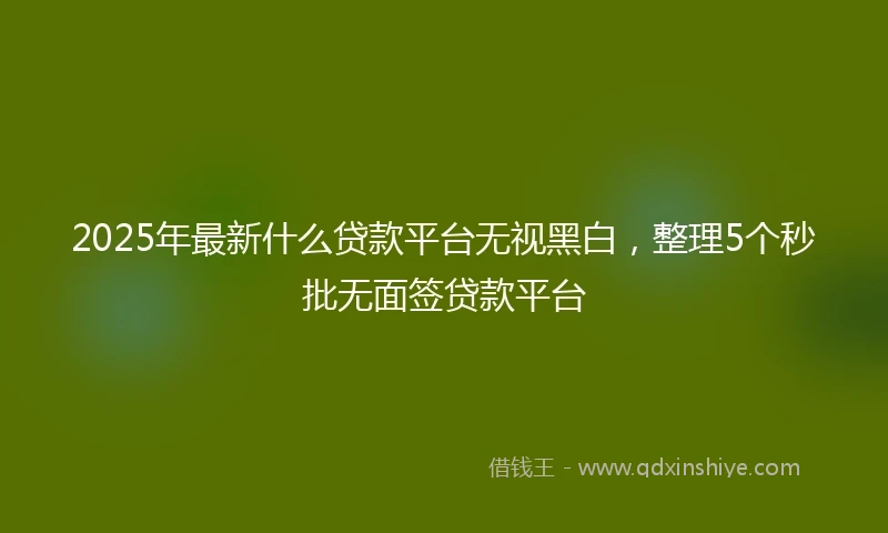 2025年最新什么贷款平台无视黑白，整理5个秒批无面签贷款平台