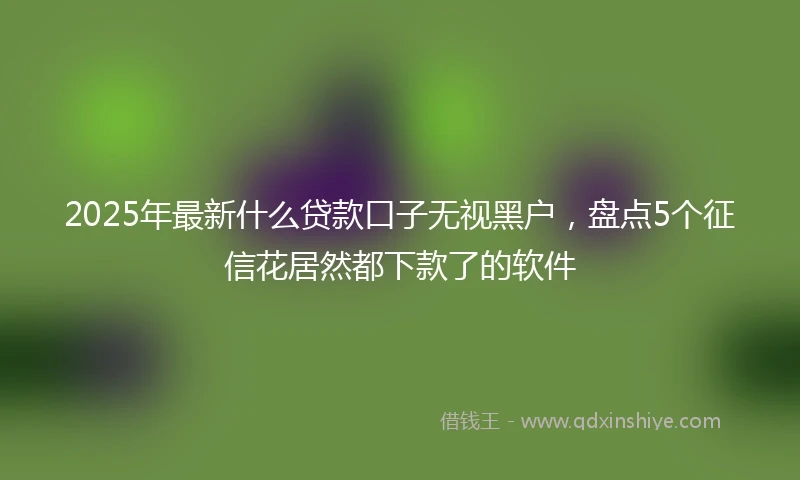 2025年最新什么贷款口子无视黑户，盘点5个征信花居然都下款了的软件