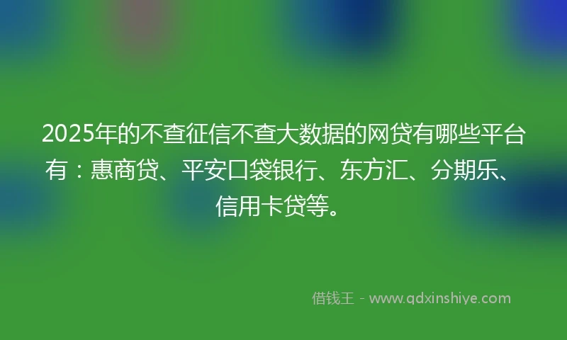 2025年的不查征信不查大数据的网贷有哪些平台有：惠商贷、平安口袋银行、东方汇、分期乐、信用卡贷等。