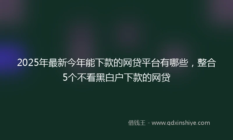 2025年最新今年能下款的网贷平台有哪些，整合5个不看黑白户下款的网贷