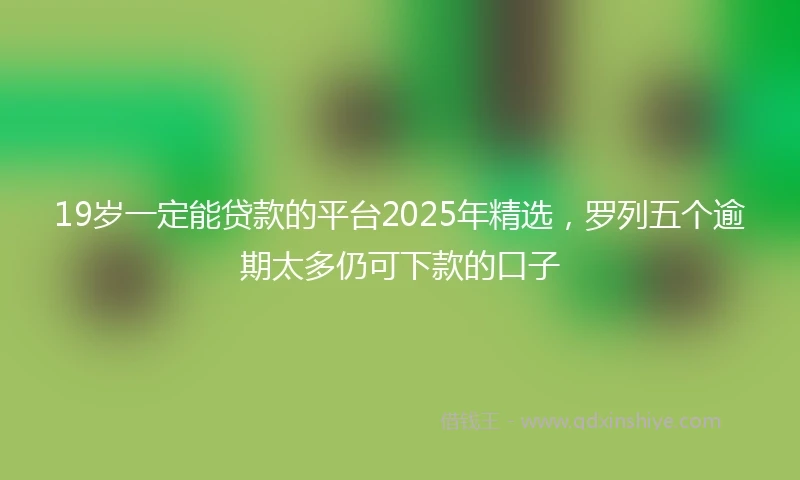 19岁一定能贷款的平台2025年精选，罗列五个逾期太多仍可下款的口子