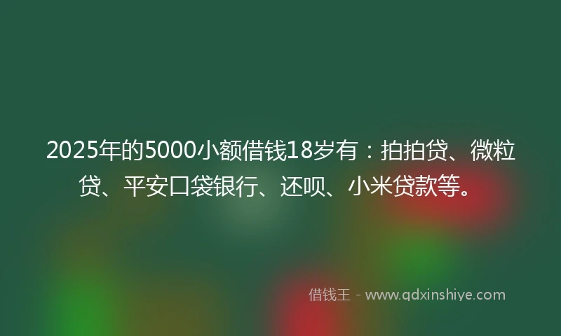 2025年的5000小额借钱18岁有：拍拍贷、微粒贷、平安口袋银行、还呗、小米贷款等。