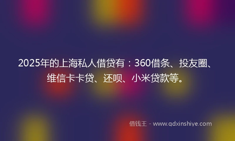 2025年的上海私人借贷有：360借条、投友圈、维信卡卡贷、还呗、小米贷款等。