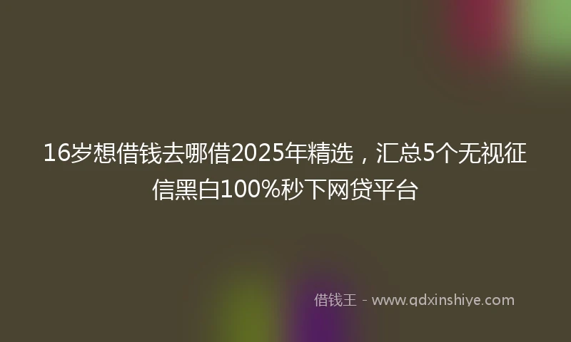 16岁想借钱去哪借2025年精选，汇总5个无视征信黑白100%秒下网贷平台
