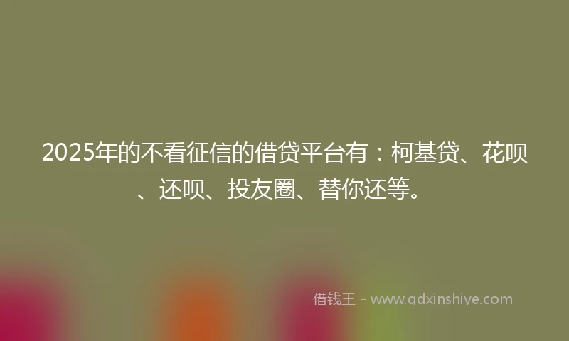 2025年的不看征信的借贷平台有：柯基贷、花呗、还呗、投友圈、替你还等。