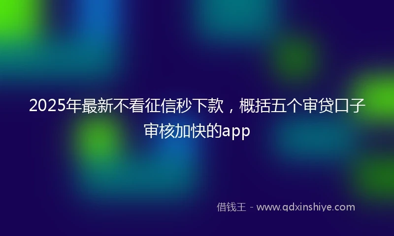 2025年最新不看征信秒下款，概括五个审贷口子审核加快的app