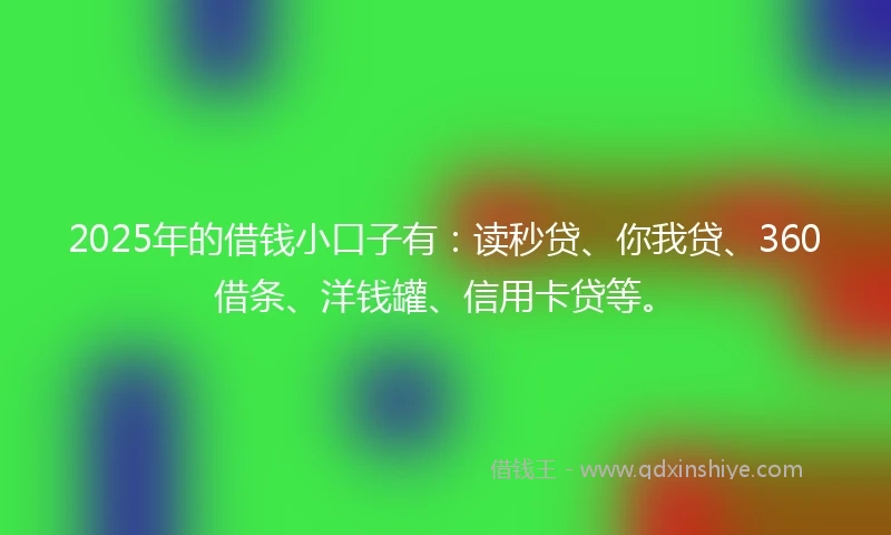 2025年的借钱小口子有：读秒贷、你我贷、360借条、洋钱罐、信用卡贷等。