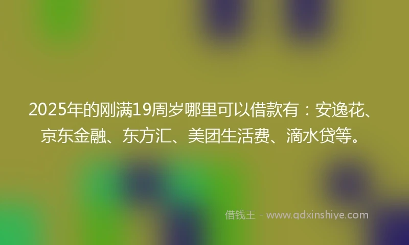 2025年的刚满19周岁哪里可以借款有：安逸花、京东金融、东方汇、美团生活费、滴水贷等。