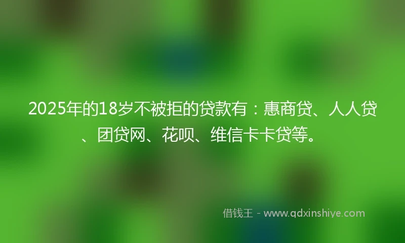 2025年的18岁不被拒的贷款有：惠商贷、人人贷、团贷网、花呗、维信卡卡贷等。