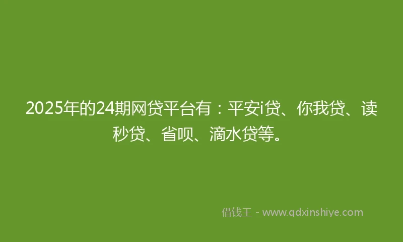 2025年的24期网贷平台有：平安i贷、你我贷、读秒贷、省呗、滴水贷等。