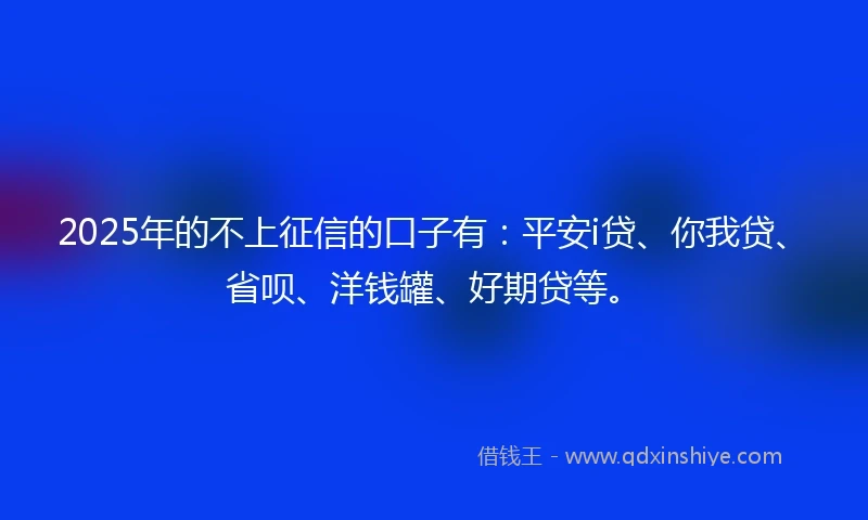 2025年的不上征信的口子有：平安i贷、你我贷、省呗、洋钱罐、好期贷等。