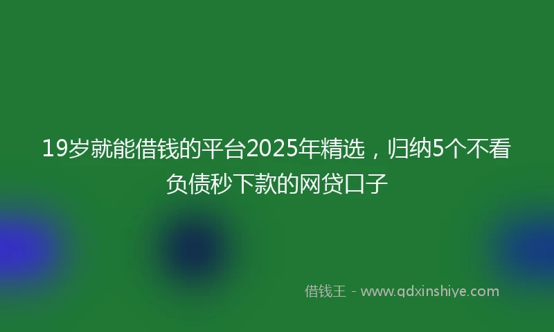 19岁就能借钱的平台2025年精选，归纳5个不看负债秒下款的网贷口子
