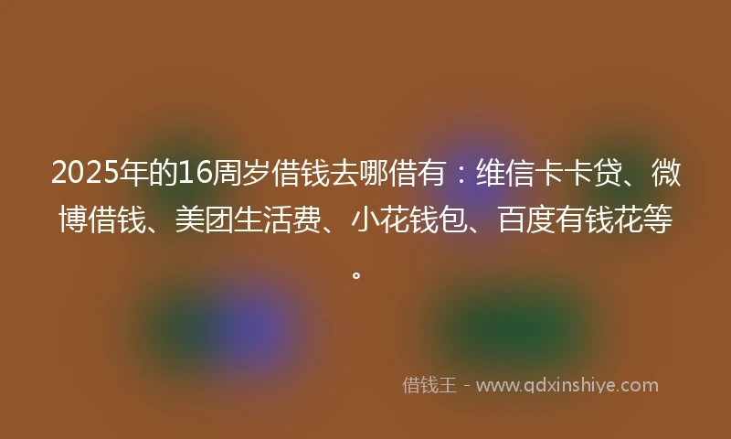 2025年的16周岁借钱去哪借有：维信卡卡贷、微博借钱、美团生活费、小花钱包、百度有钱花等。