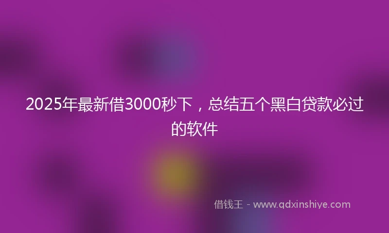 2025年最新借3000秒下，总结五个黑白贷款必过的软件