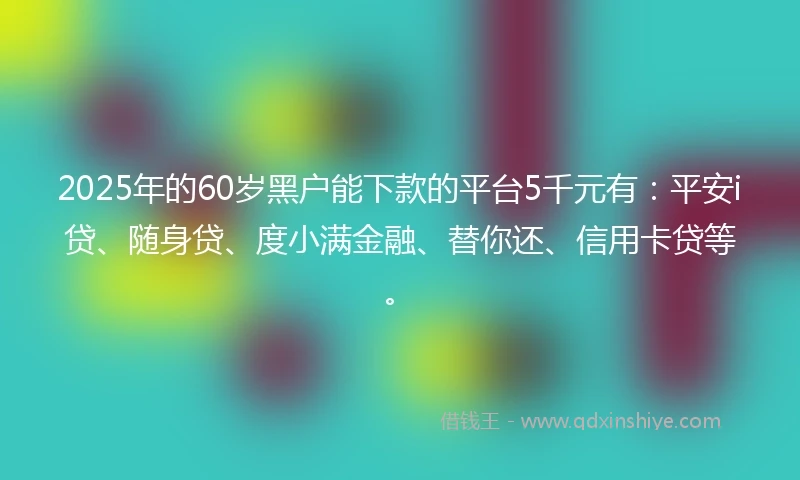 2025年的60岁黑户能下款的平台5千元有：平安i贷、随身贷、度小满金融、替你还、信用卡贷等。