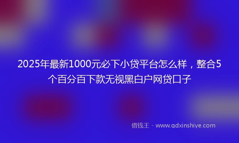 2025年最新1000元必下小贷平台怎么样，整合5个百分百下款无视黑白户网贷口子