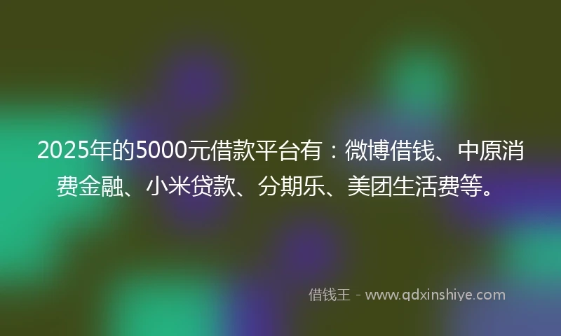 2025年的5000元借款平台有：微博借钱、中原消费金融、小米贷款、分期乐、美团生活费等。
