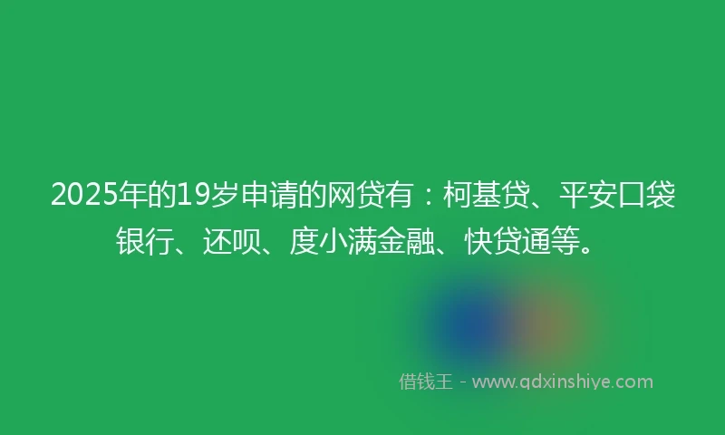2025年的19岁申请的网贷有：柯基贷、平安口袋银行、还呗、度小满金融、快贷通等。